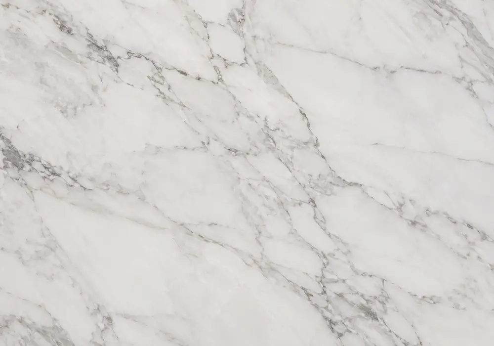 Warm silver-grey stone with cream bands and fossil traces reflects the understated beauty of Sunny Grey marble surface look.