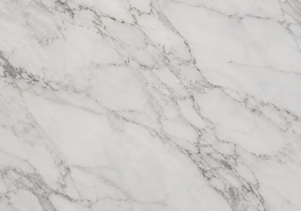 Sunny Grey Marble showcased in a premium stone gallery with upright slabs, finish samples and refined interiors