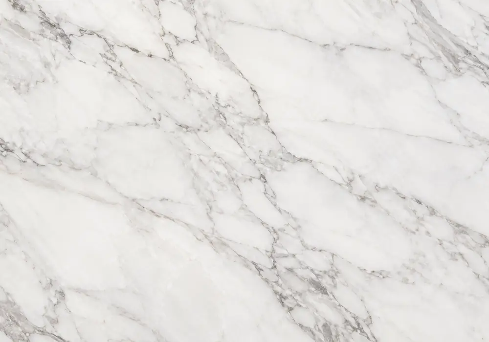 value grey marble slabs, tiles and rough blocks shown in polished and honed grades with fossils and project-ready UAE stock.