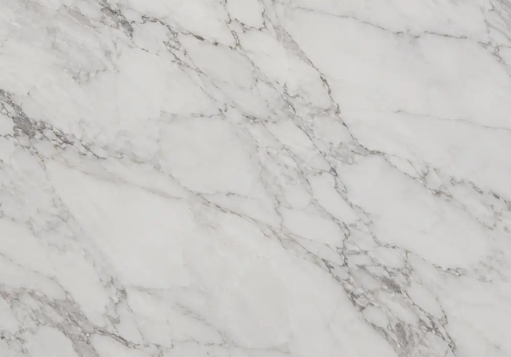 Warm greige Sunny Grey Marble carries cream veins and fossil marks, showcasing refined Pakistan Sunny Grey stone character.