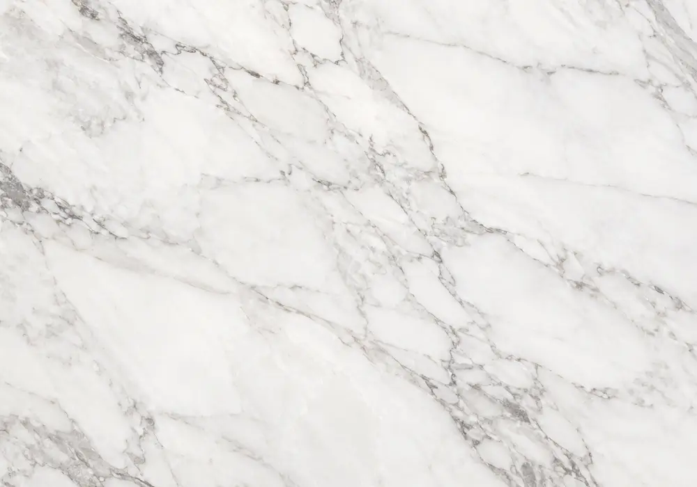 Thassos White Marble foyer reception wall in a luxury stone showroom with large slabs and refined interior detailing