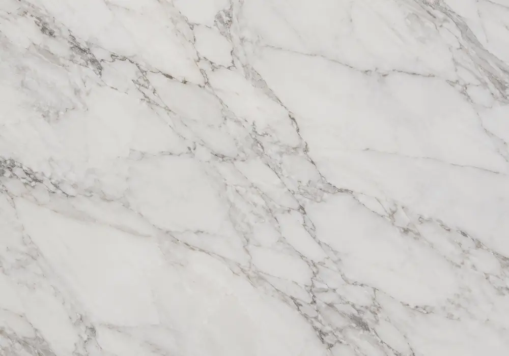 Tiffany Marble company used in a natural-stone showroom and gallery, with natural veining and refined architectural detail.