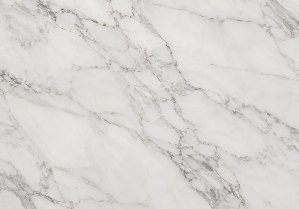 Calm Tundra Grey marble slab with a light grey field, wispy white veins, cloudy mineral patches and subtle fossil details.
