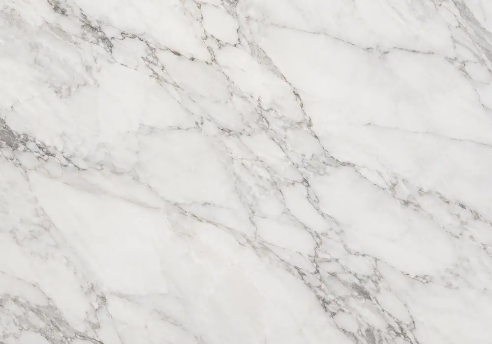 Tundra marble price displayed in grey and white tones with clouded movement and fossil details, and fine geological texture.