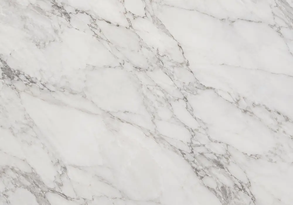 sage green marble slabs with muted pastel and deeper forest passages shown polished and honed beside UAE tiles and samples