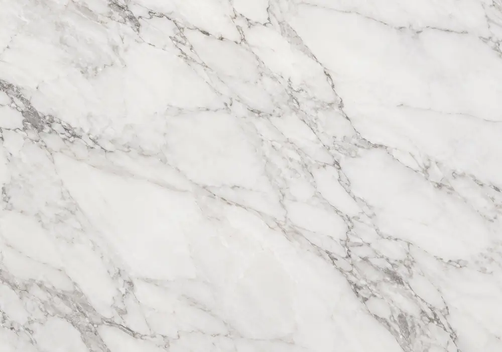 Verde antique marble polished and honed slabs with island, vanity, feature wall and interconnected white serpentine veining