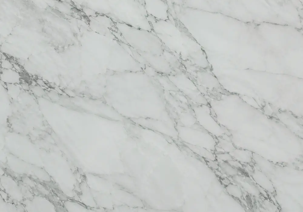 Detailed Veria Green marble price slab with green and black, sweeping ribbons and branching veins, across a luminous surface.