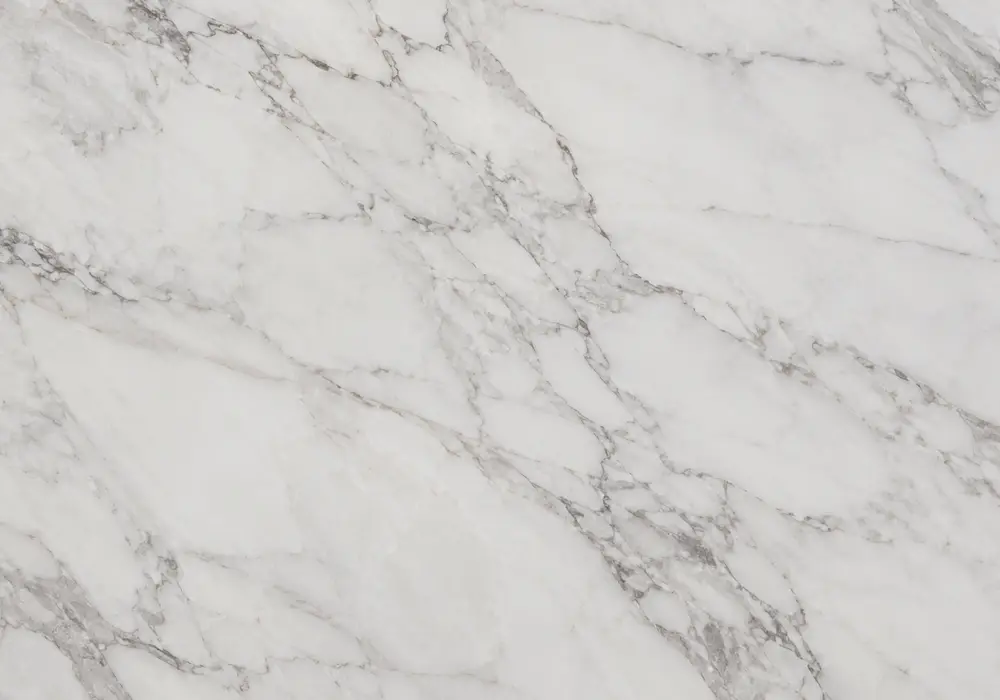 Viola Calacatta slabs with ivory islands and plum-burgundy brecciation shown polished and honed with a bookmatch preview