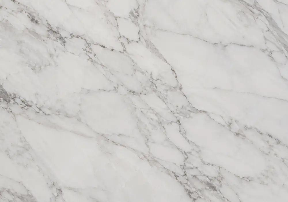 Viola Marble architectural wall panel in a luxury stone showroom with full slabs and soft gallery lighting