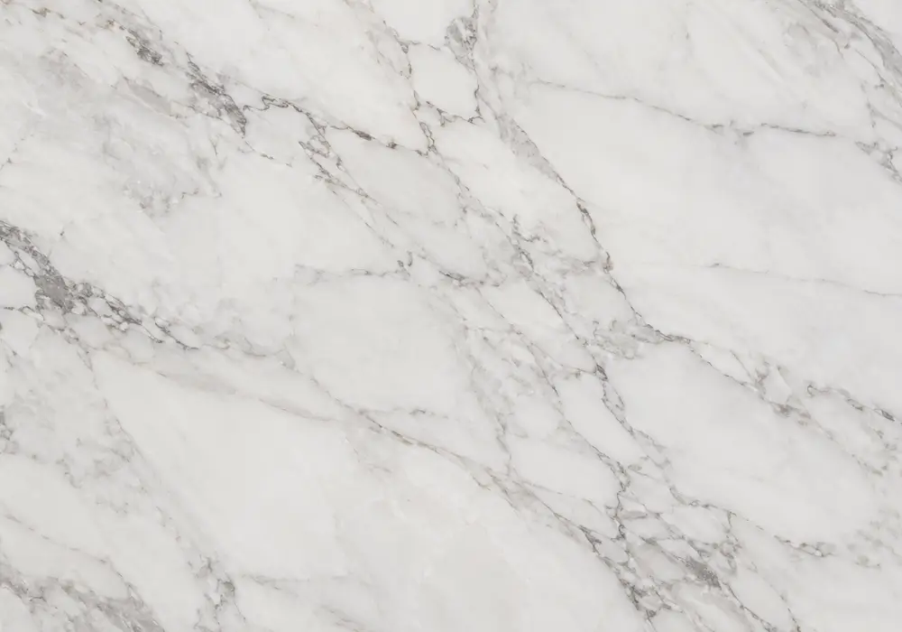 white black marble bathroom showing Panda strokes, Nero Marquina veins and Marmara striping across vanity, shower and floor.