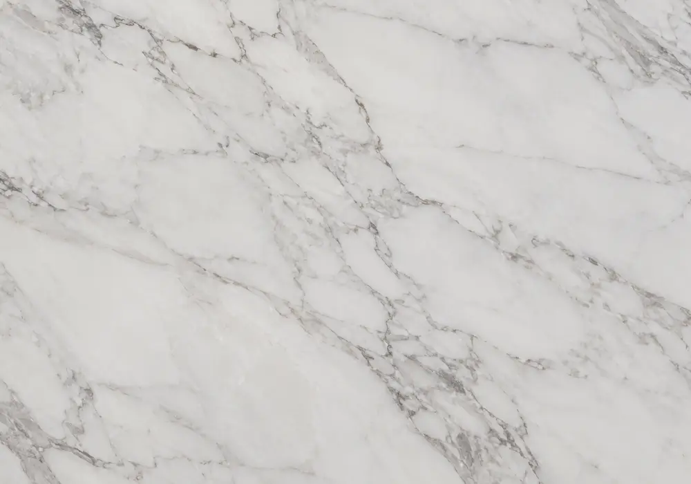 White and black marble high-contrast feature wall with dramatic monochrome veining and bold natural movement