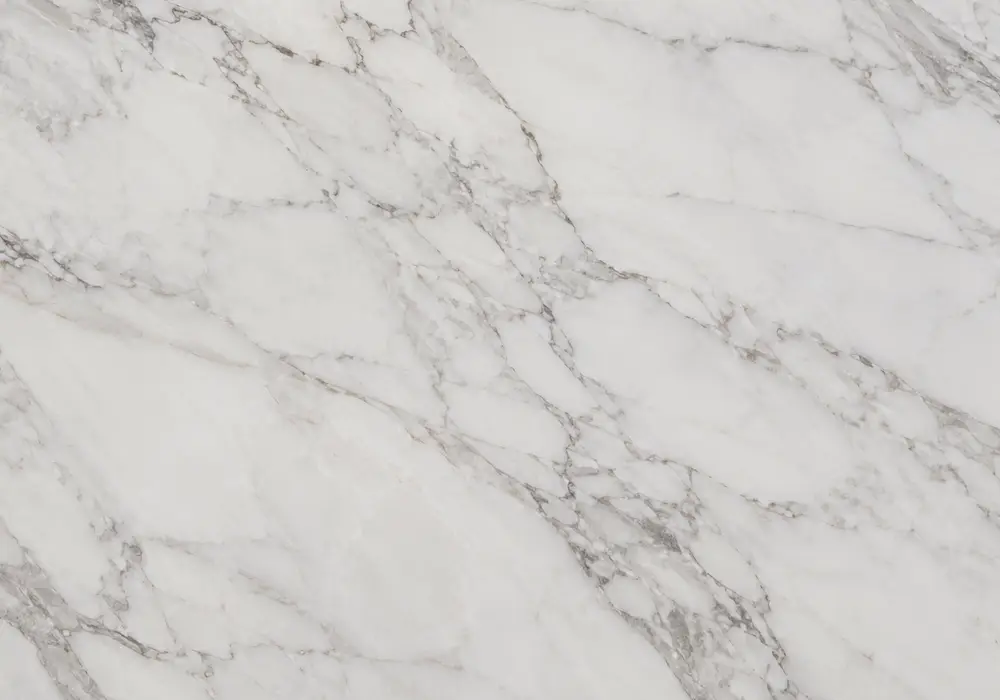 white and black marble floor view with white and black, sweeping ribbons and branching veins, with realistic polished depth.
