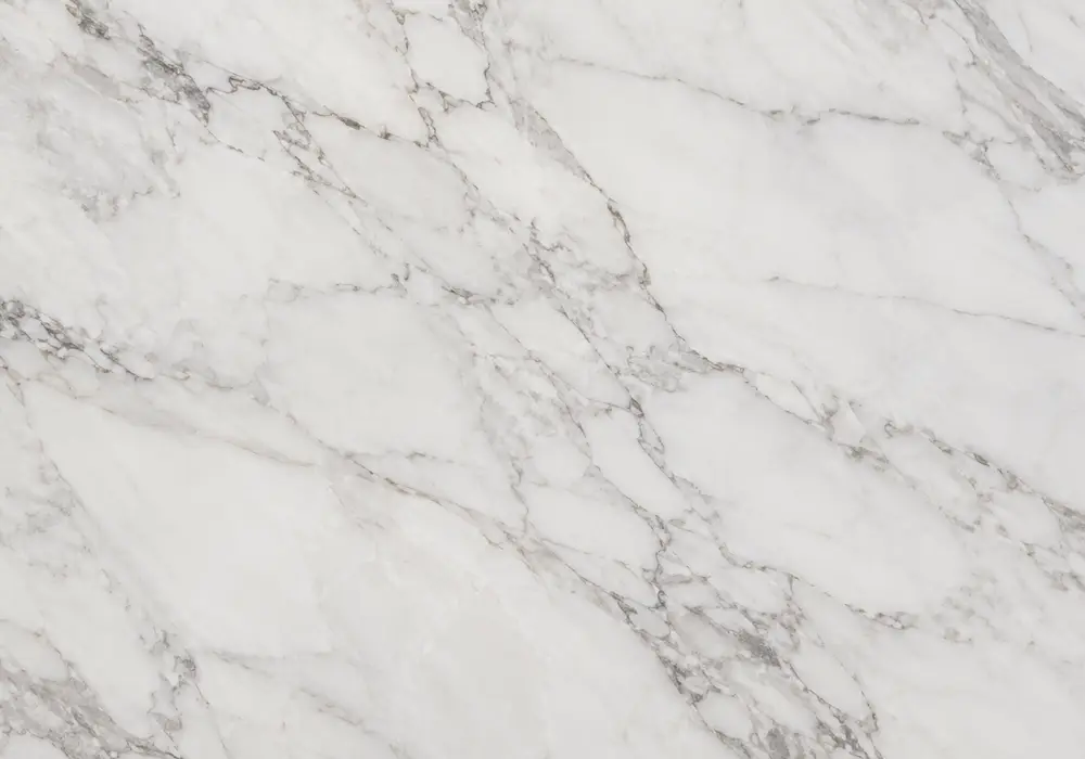 white marble with grey veins view with white and grey, sweeping ribbons and branching veins, with clear geological character.
