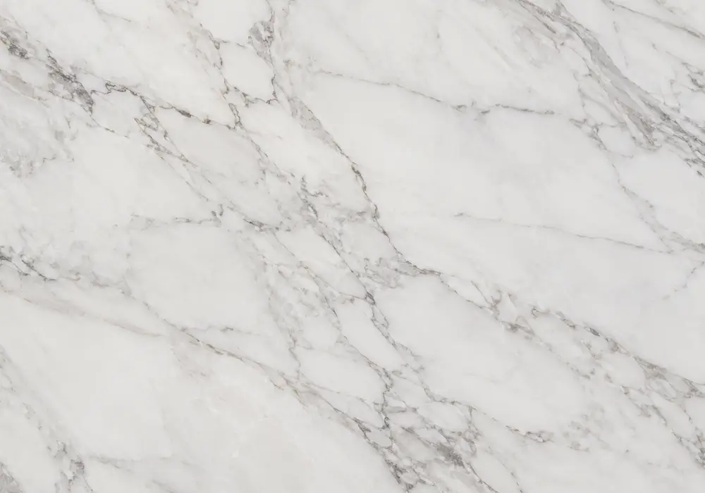 soft white background with feathery grey veins on honed floors and walls, polished vanity and sheltered exterior threshold.