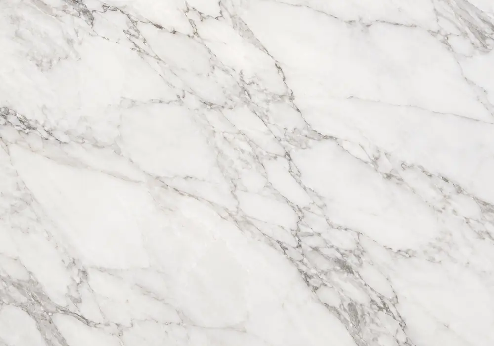 white marble brown veins price slab: white and brown, sweeping ribbons and branching veins, with refined crystalline detail.