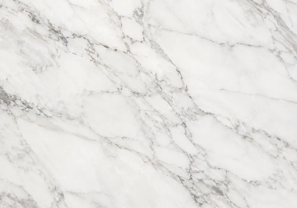 Whitewood marble reception wall with pale ivory-grey stone and elegant directional wood-grain veining.