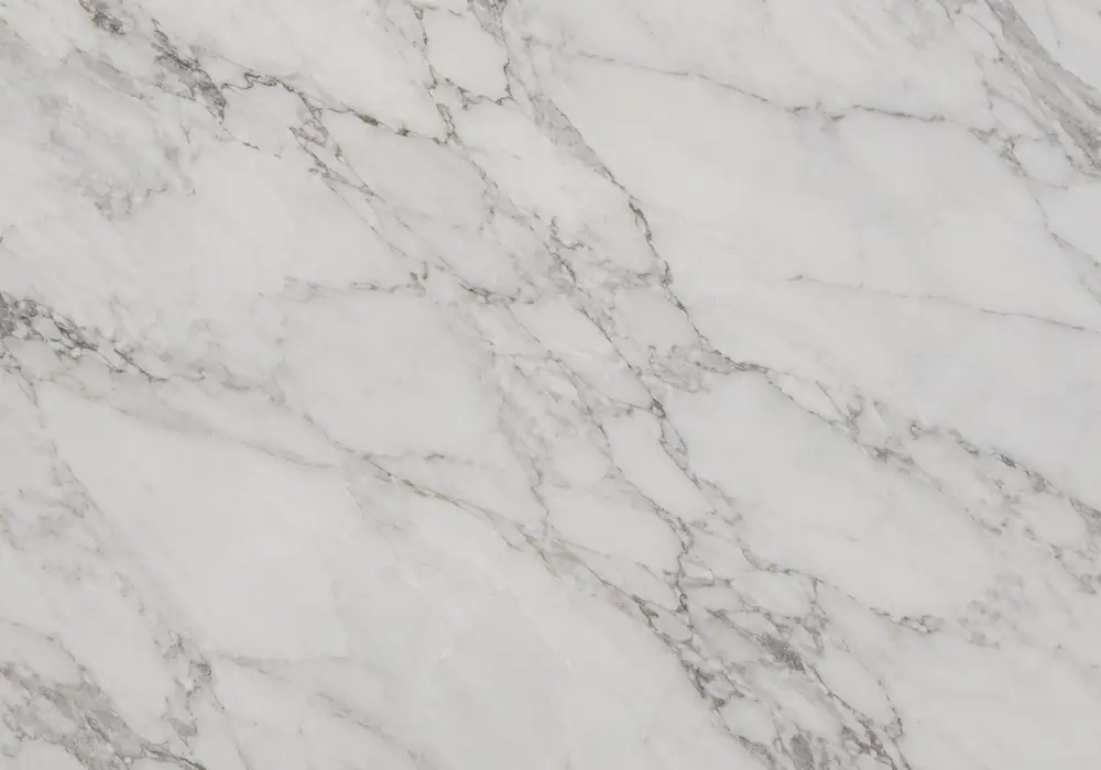 Zebra Black slabs on bookmatched wall, fireplace and vanity, showing broad irregular white streaks across deep black stone.