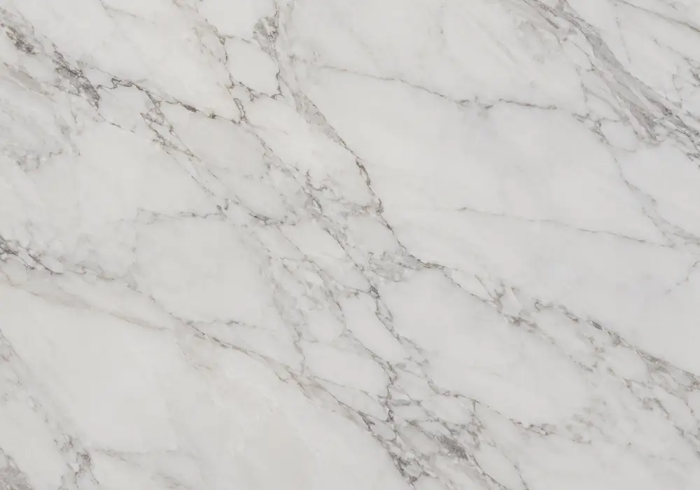 Pakistani Zebra Black in a luxury corridor, showing natural veining, polished stone depth and refined architectural detail.