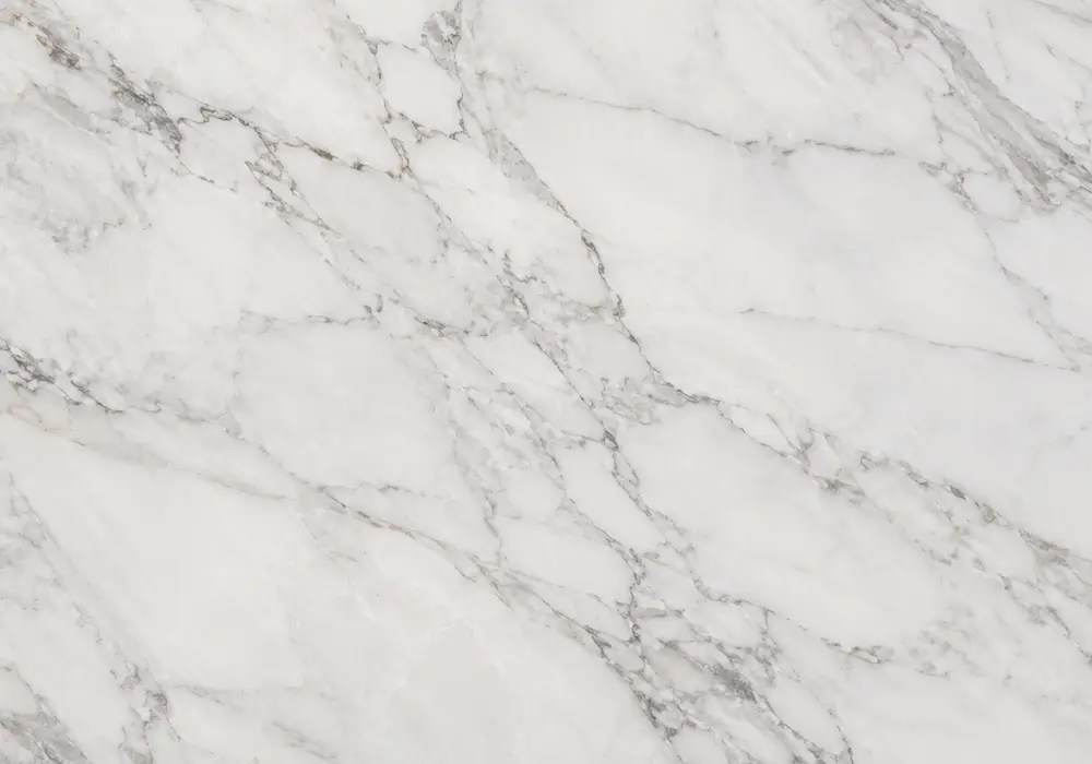 Zebra Black marble price image featuring black and white, calcite markings and natural veining, with softly reflective depth.