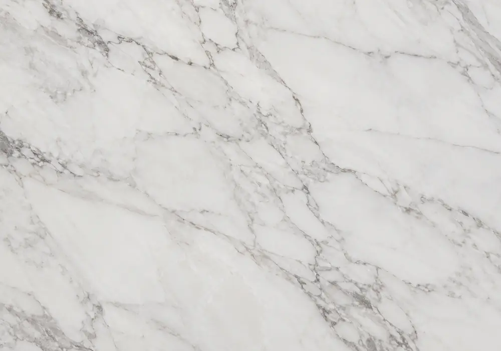 Zebra marble statement wall panels with pale stone and striking charcoal-black striped veining.