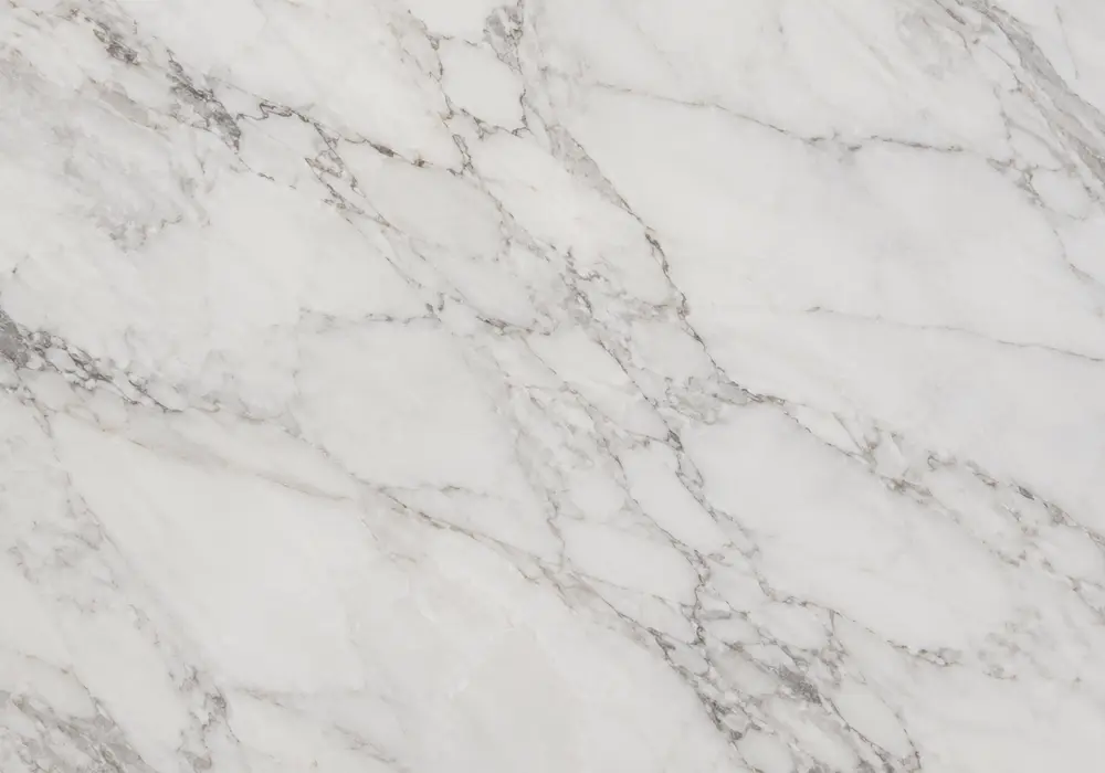 Panda marble comparison beside striped pale slabs, polished and honed samples with a vein-aligned wall or floor panel in view